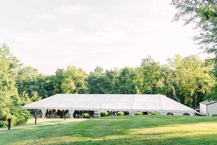 Maia and Joe Romantic Rust Manor House Leesburg Purple Wedding_0405.jpg