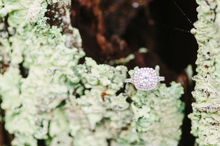 Tina and Brock Shenandoah National Park Engagement Session_0070.jpg