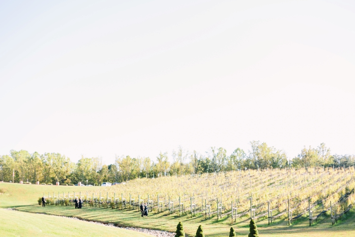 Lindsay and Chris Potomac Point Winery Wedding_0181.jpg