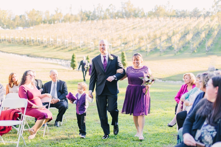 Lindsay and Chris Potomac Point Winery Wedding_0184.jpg