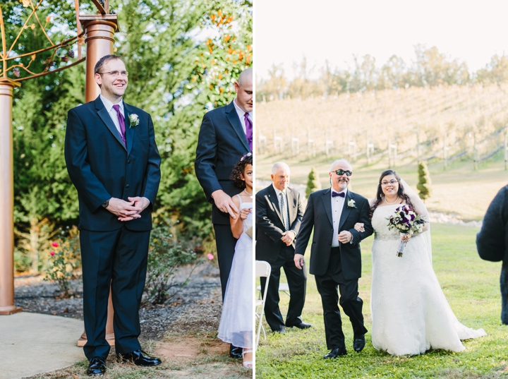 Lindsay and Chris Potomac Point Winery Wedding_0185.jpg