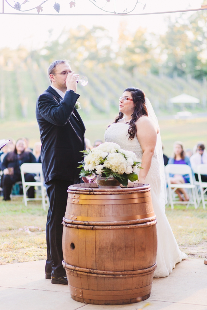 Lindsay and Chris Potomac Point Winery Wedding_0191.jpg