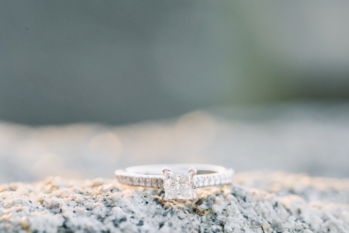 Maymont Park and Belle Isle Fall Engagement Session_0337.jpg