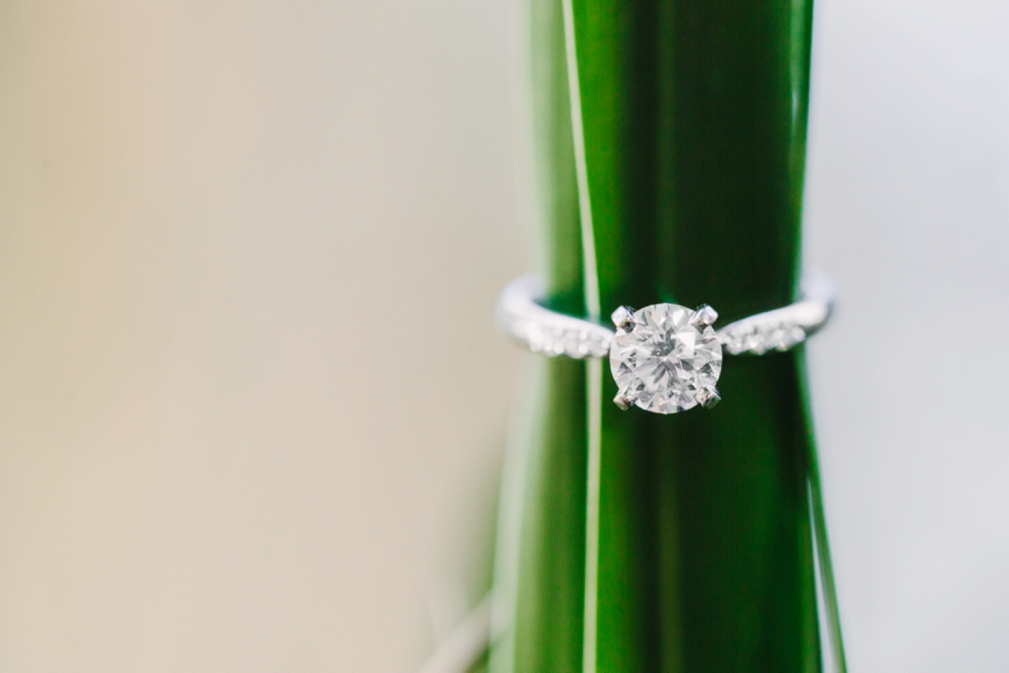 Maymont Mansion Park Richmond Summer Engagement Session_0439.jpg