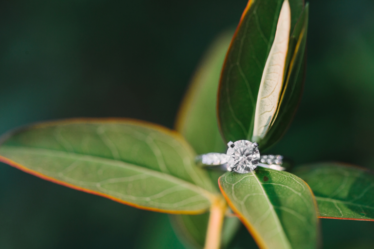 Maymont Mansion Park Richmond Summer Engagement Session_0440.jpg