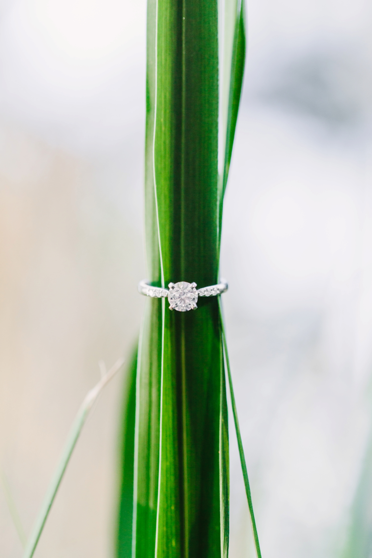 Maymont Mansion Park Richmond Summer Engagement Session_0448.jpg