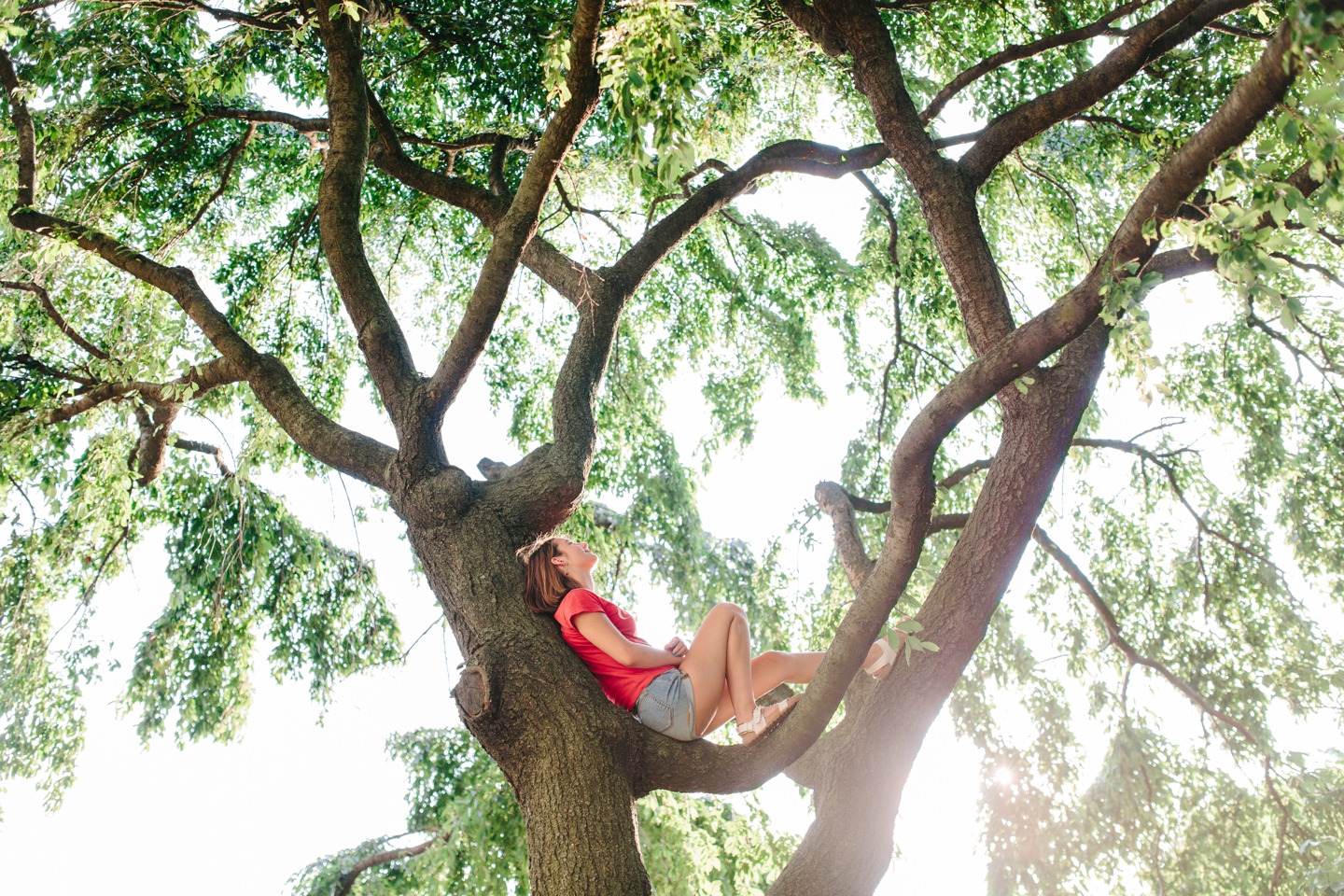 Mini Van Coca-Cola Tree Jefferson Memorial Tidal Basin DC Senior Session Elizabeth Gilmer_0700.jpg