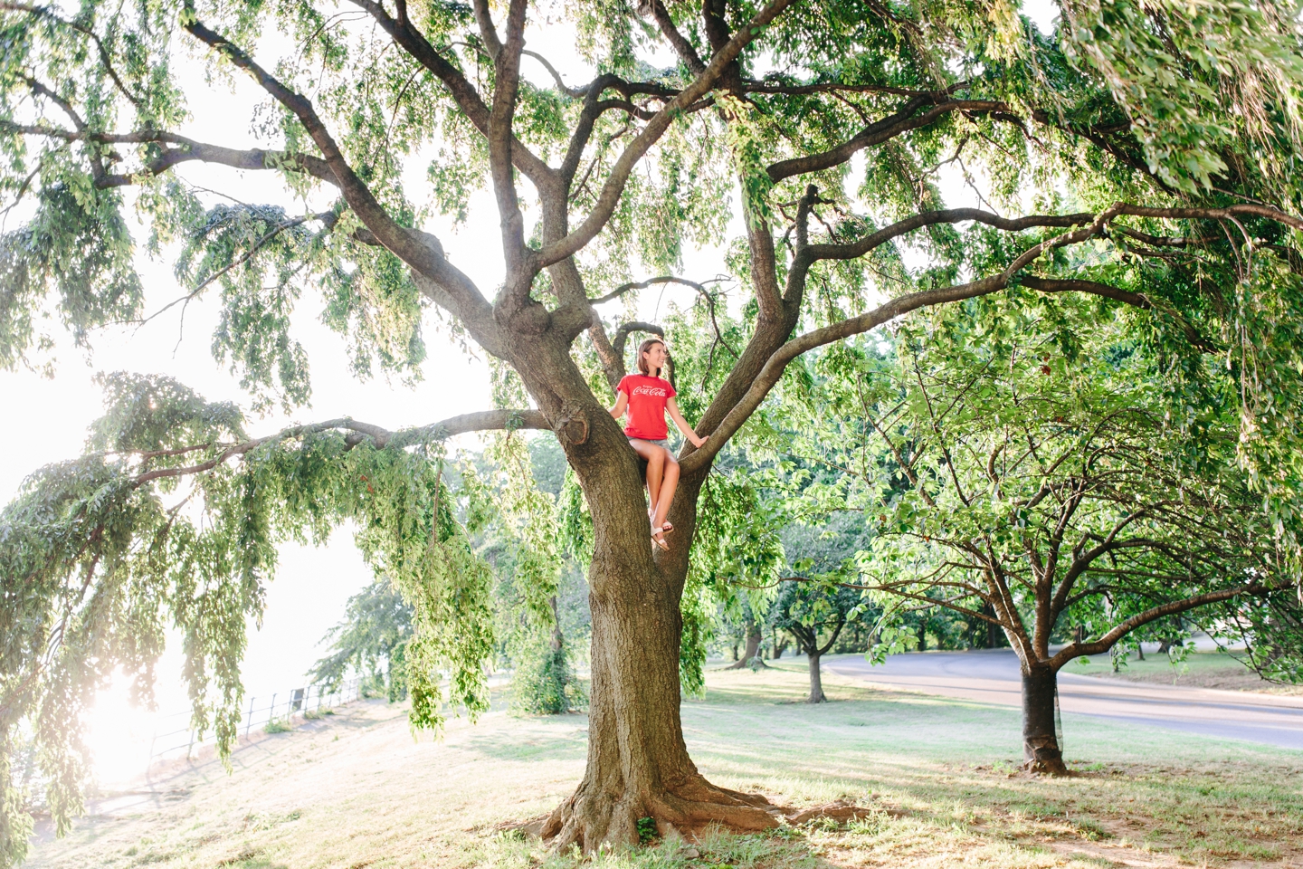 Mini Van Coca-Cola Tree Jefferson Memorial Tidal Basin DC Senior Session Elizabeth Gilmer_0702.jpg