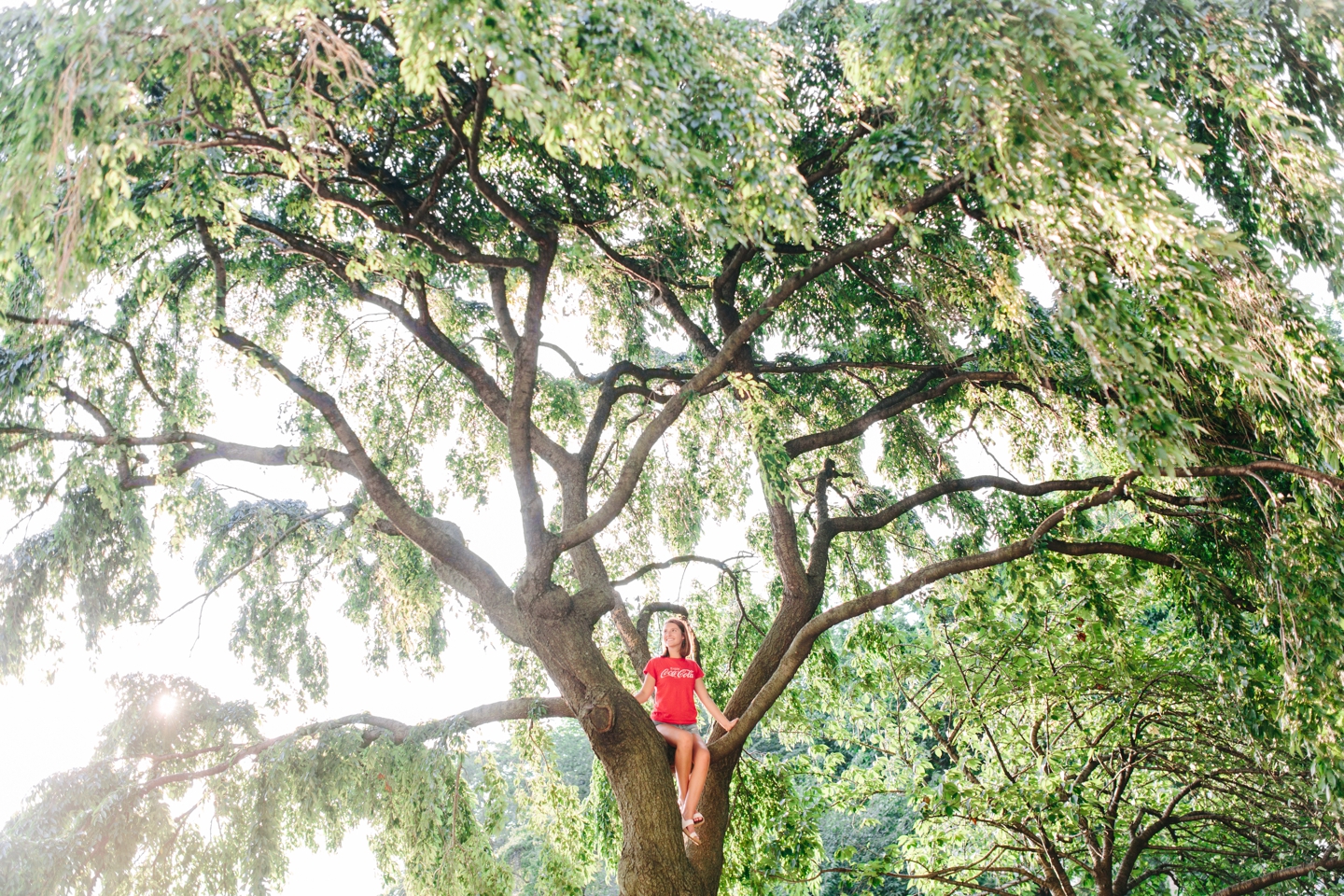 Mini Van Coca-Cola Tree Jefferson Memorial Tidal Basin DC Senior Session Elizabeth Gilmer_0703.jpg