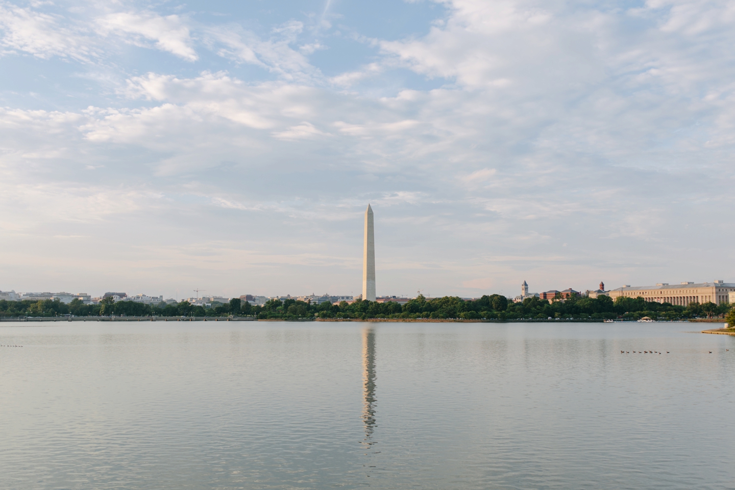 Mini Van Coca-Cola Tree Jefferson Memorial Tidal Basin DC Senior Session Elizabeth Gilmer_0724.jpg