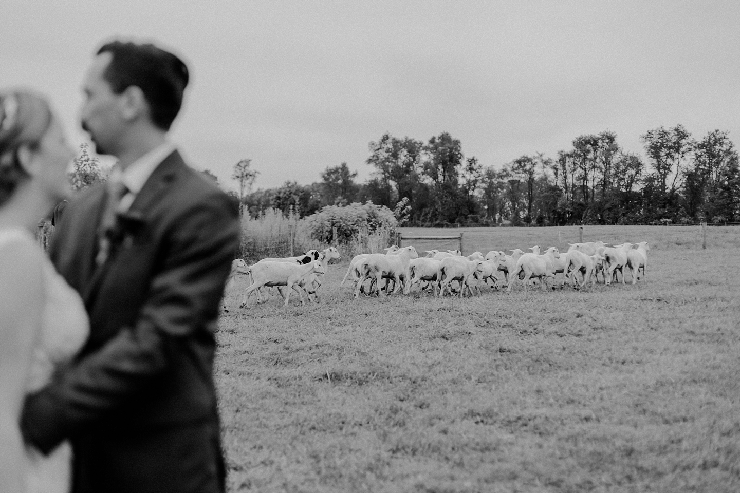 RocklandsFarmFallWedding_MD_AngelikaJohnsPhotography-7635-2.jpg