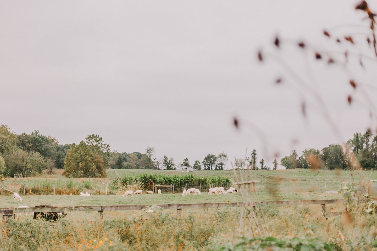 RocklandsFarmFallWedding_MD_AngelikaJohnsPhotography-7707.jpg