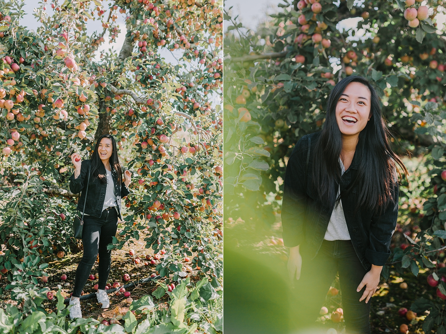 ShowaltersOrchardandGreenhouse_FallApplePicking_TimberlandVA_AngelikaJohnsPhotography-0027.jpg