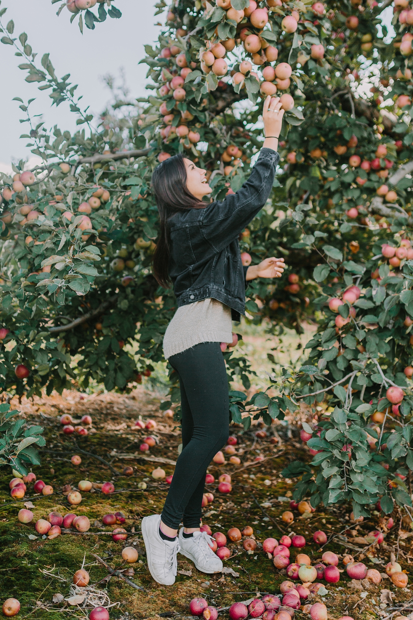 ShowaltersOrchardandGreenhouse_FallApplePicking_TimberlandVA_AngelikaJohnsPhotography-0081.jpg