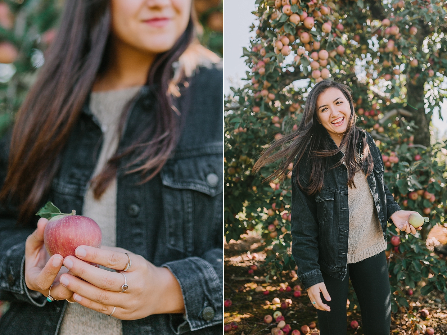 ShowaltersOrchardandGreenhouse_FallApplePicking_TimberlandVA_AngelikaJohnsPhotography-0088.jpg