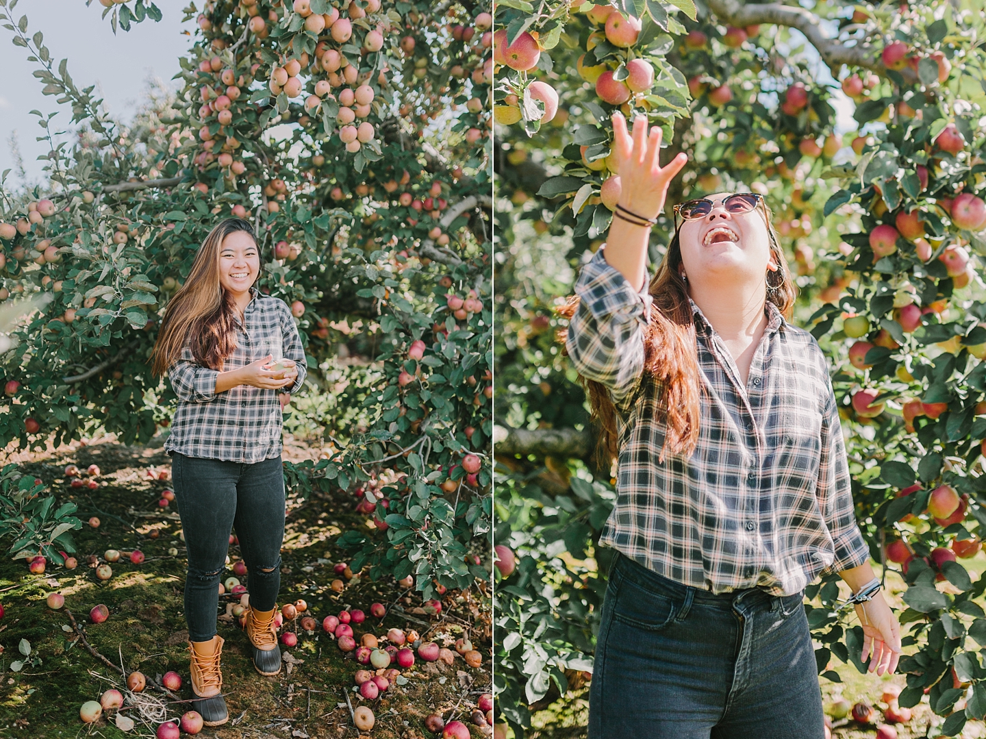 ShowaltersOrchardandGreenhouse_FallApplePicking_TimberlandVA_AngelikaJohnsPhotography-0172.jpg