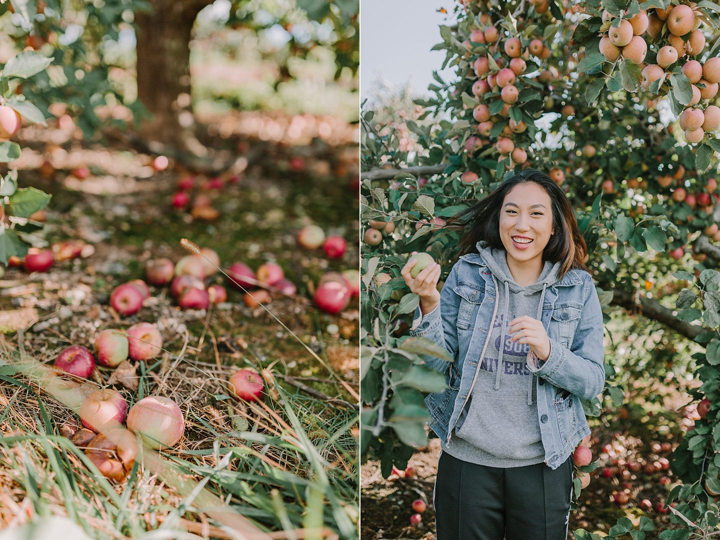 ShowaltersOrchardandGreenhouse_FallApplePicking_TimberlandVA_AngelikaJohnsPhotography-0205.jpg