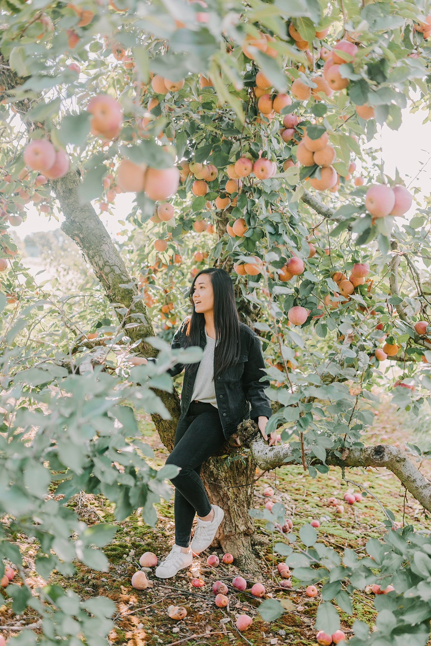 ShowaltersOrchardandGreenhouse_FallApplePicking_TimberlandVA_AngelikaJohnsPhotography-0242.jpg