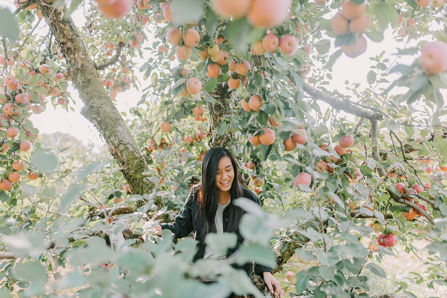 ShowaltersOrchardandGreenhouse_FallApplePicking_TimberlandVA_AngelikaJohnsPhotography-0248.jpg