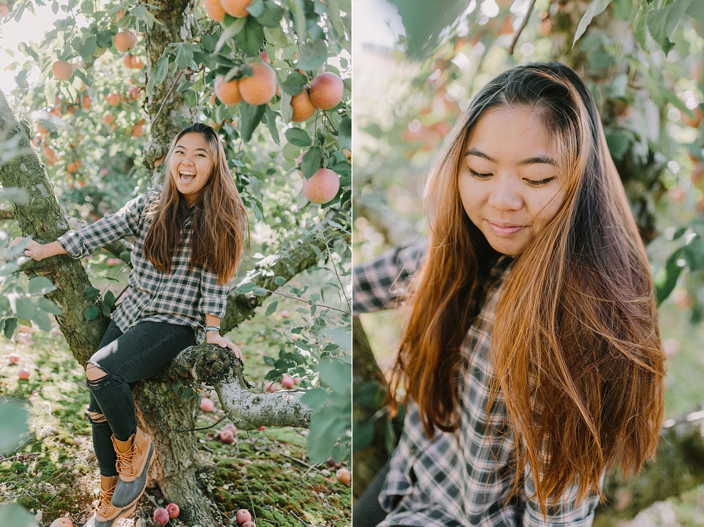 ShowaltersOrchardandGreenhouse_FallApplePicking_TimberlandVA_AngelikaJohnsPhotography-0336.jpg