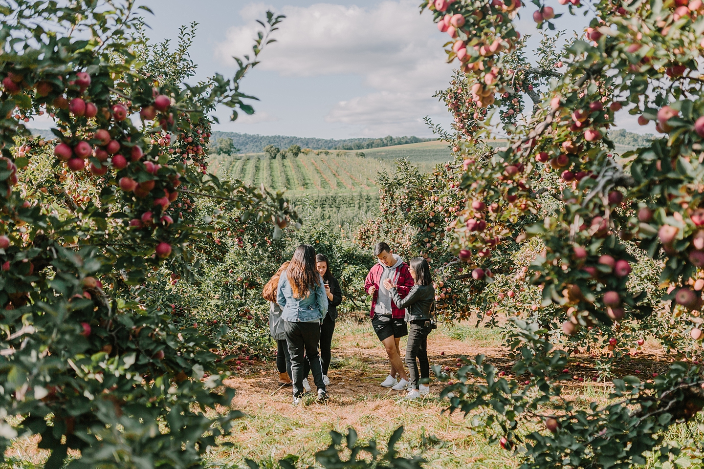 ShowaltersOrchardandGreenhouse_FallApplePicking_TimberlandVA_AngelikaJohnsPhotography-0621.jpg