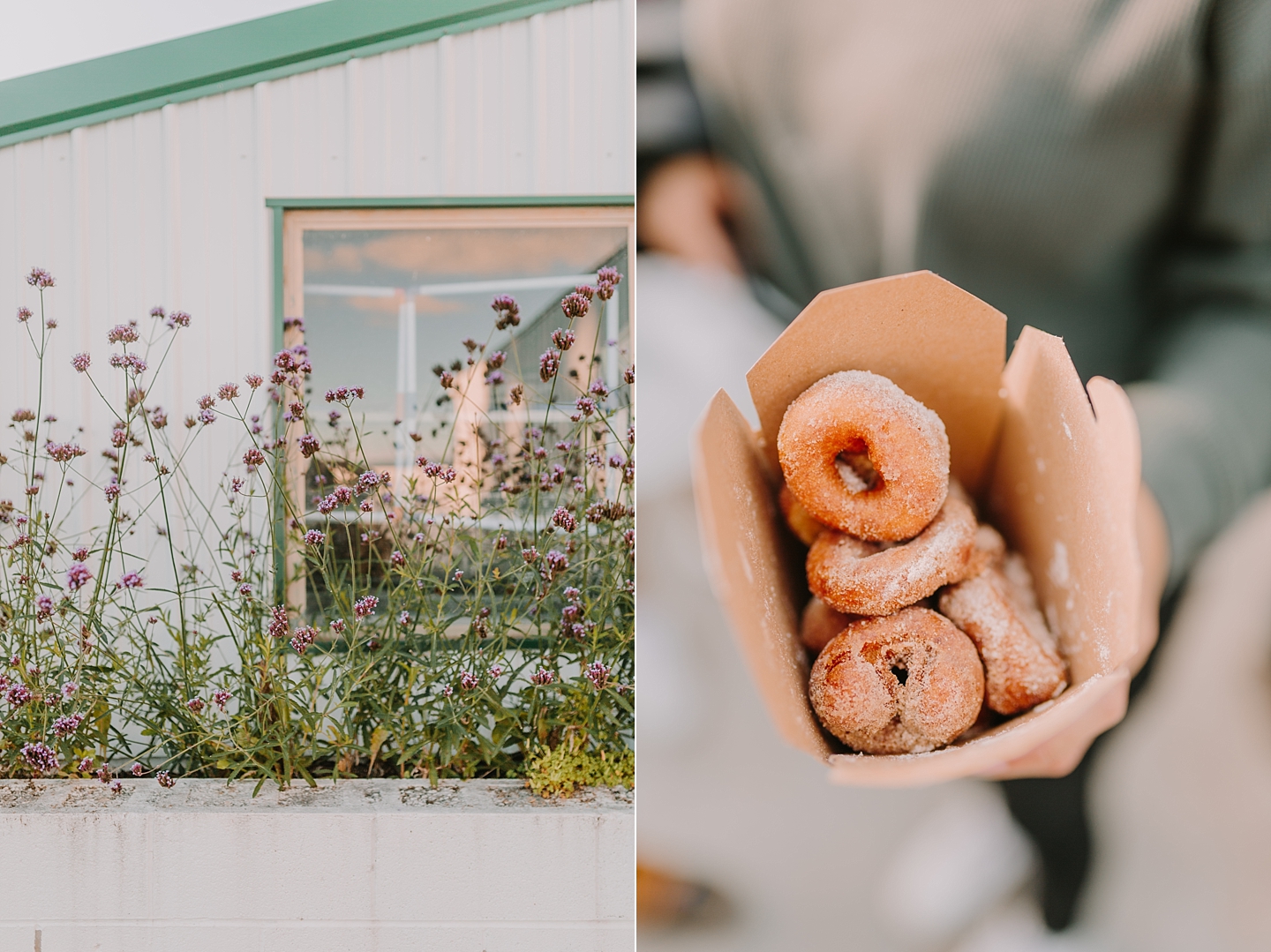 ShowaltersOrchardandGreenhouse_FallApplePicking_TimberlandVA_AngelikaJohnsPhotography-0734.jpg