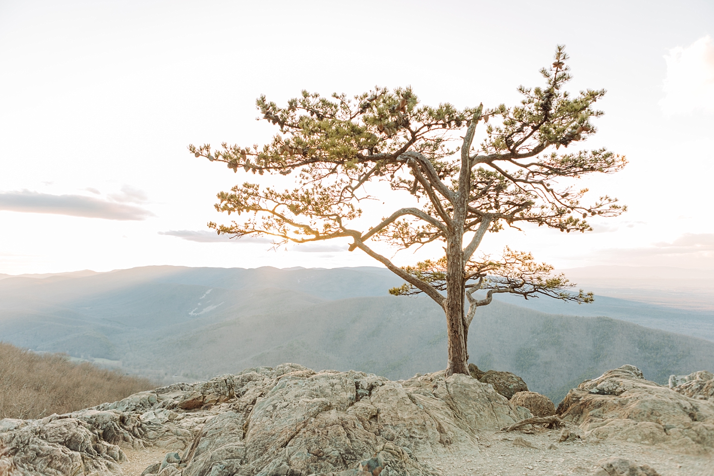 RavensRoostEngagementSession_ShenandoahMountains_AngelikaJohnsPhotography-0101.jpg