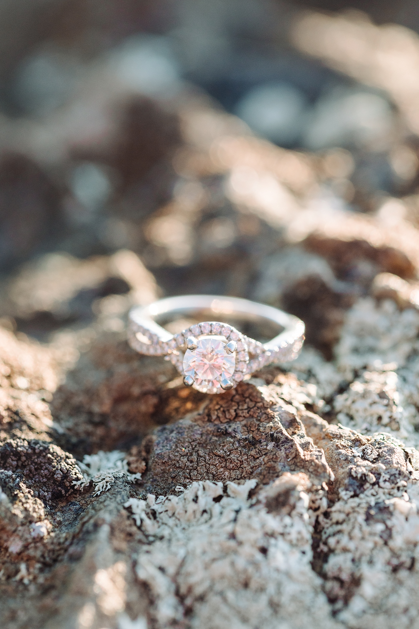 RavensRoostEngagementSession_ShenandoahMountains_AngelikaJohnsPhotography-0506.jpg