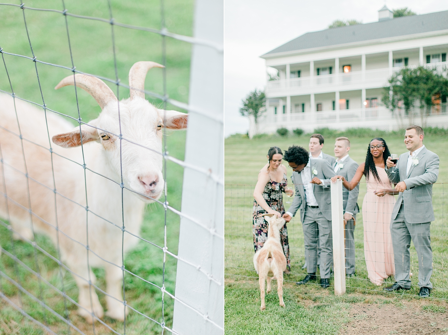 Rock_Hill_Mansion_Summer_DC_Wedding_AngelikaJohnsPhotography-0143.jpg